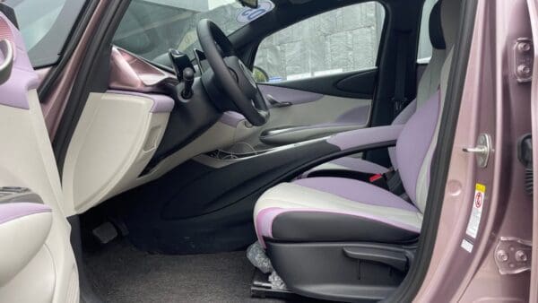 BYD Dolphin - Ảnh 12